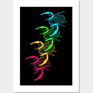 Pseudoscorpion rainbow Posters and Art